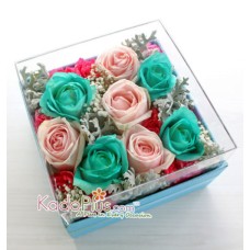 Splendeur Box: Cotton Candy